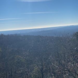 Meet your Posher, Vile